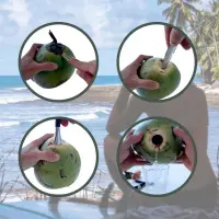 Coconut Hole Opener, Coconut Opener, Coconut Cutter, Dab Opener — 2